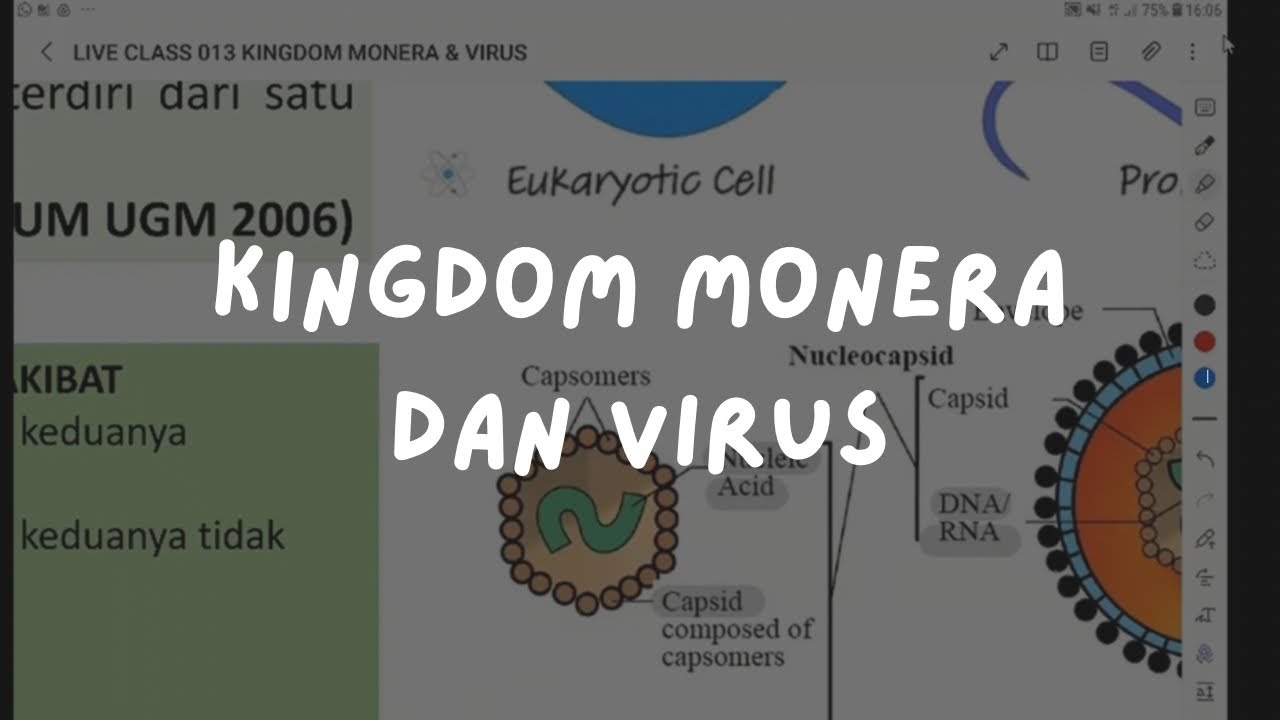 Kelas Inkuasi 013: Biologi - Kingdom Monera & Virus