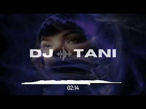 dj tani, Lawstylez & BASTL - Without You (feat. Hicksu) [Official Visualizer]