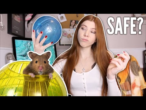 Are Hamster Balls SAFE?