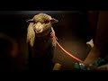 Polsat Reklamy 2X Speed