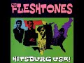 the Fleshtones - Down on me (Big Bro Holding Co)