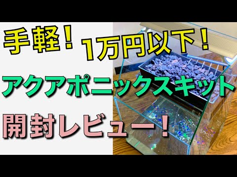 , title : '【１万円以下】アクアリウムと水耕栽培が同時にできる『レグラスポニックス』をレビュー'