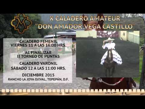 Caladero Femenil AVC 2011