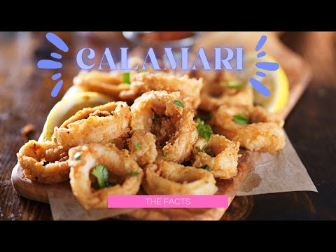 Calamari - Squid as food? Curious Calamari facts you need to know!