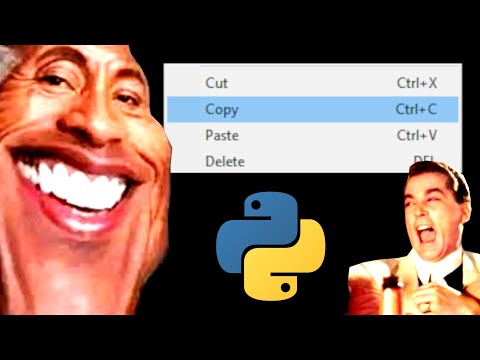 Python Code Copiers Be Like...