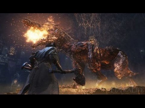 DSP Vs Watchdog Of The Old Lords