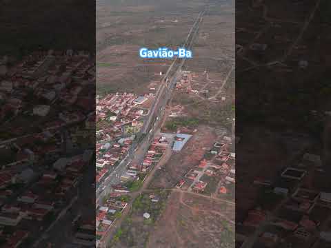 Gavião, no sertão, coração quente da Bahia, pequena e forte,terra onde o sol abraça e o povo brilha…