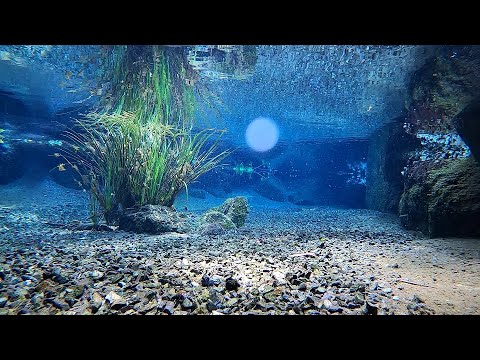 新阿蘇紀行（9.明神池水源）