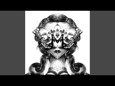 Moth On The Light Source