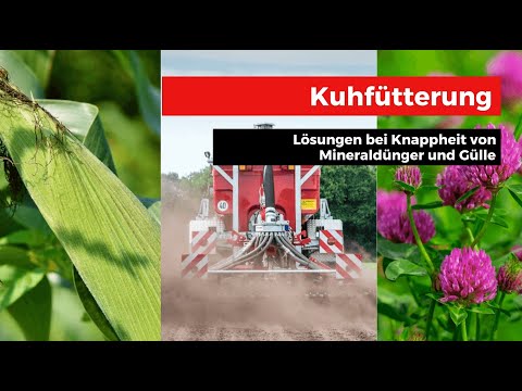 Kuhfütterung - Lösungen bei Knappheit von Mineraldünger und Gülle