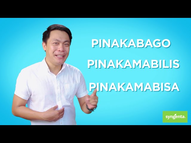 زايروكس فلاي لمكافحة الذباب طعم محبب 500 جرام