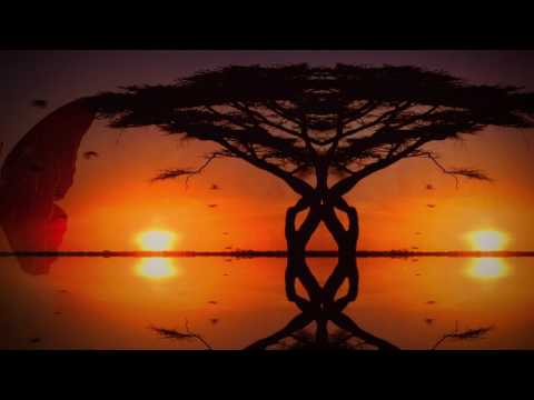 Hey MaMaMa - Tritonal (Audio/Video) | TritonalTV