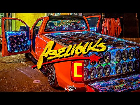 ELA DESCE - NADIR NETTO, WATILA GYN, MC BICHO SOLTO - ELETROFUNK ABELVOLKS