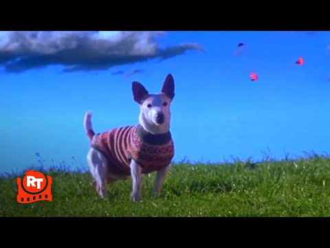 Babe: Pig in the City - Flealick's Wild Ride!