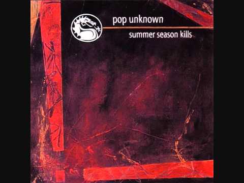 Pop Unknown - Follow You