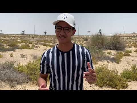 Drive first text later | BCM216