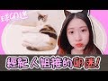 【球卯迷】經紀人姊姊的卯迷