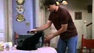Salem Saberhagen vs Aaron