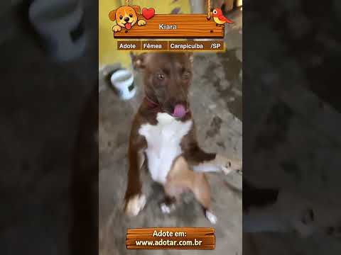 Vídeo de Kiara