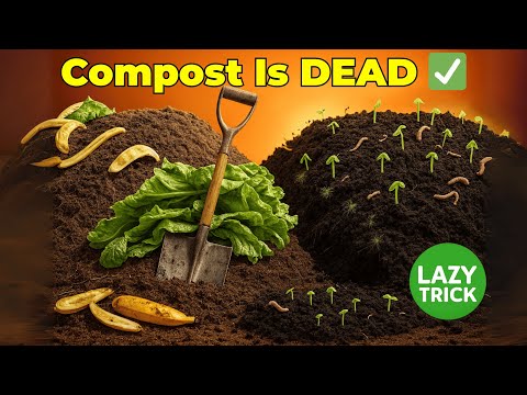 Why I’ll Never Make Compost Again This Lazy Trick Works Better