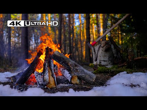 Cozy Campfire NO ADS 4K: 12 Hours of Relaxing Fire Sounds in Spring Forest 🌼🔥