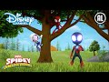 Spidey | De Vossenpup | Disney Channel NL