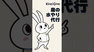 動画のサムネイル