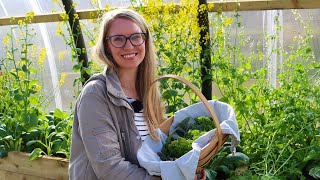 Spring Herb Garden Tour and a Garden-Fresh Easter Dinner