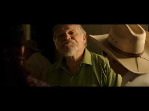 POLVO Trailer Oficial