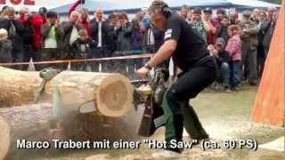preview picture of video 'Hot Saw bei der Waldarbeitsmeisterschaft Baden-Württemberg 2012'
