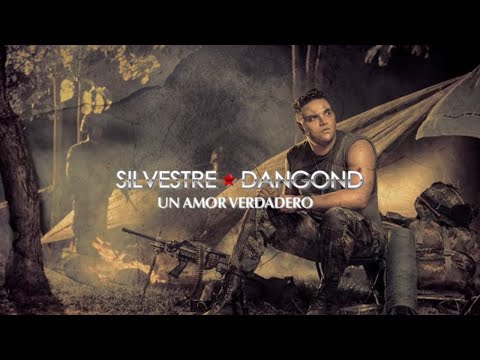 Un Amor Verdadero, Silvestre Dangond & Rolando Ochoa - Letra Oficial