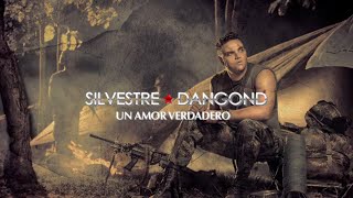 Un Amor Verdadero, Silvestre Dangond & Rolando Ochoa - Letra Oficial