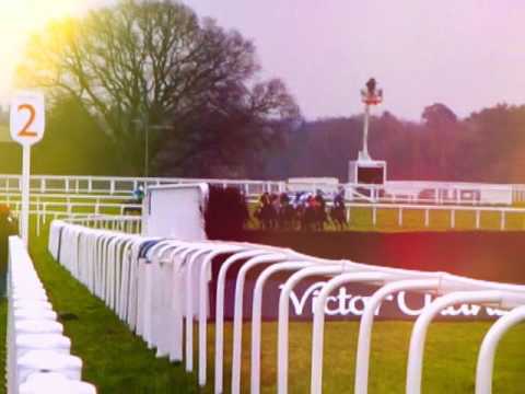 Jockey Tony McCoy among figures to be knighted at Buckingham Palace