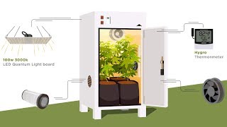 How to Grow Weed at Home - Stealthbox Explainer