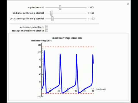 Minimal Hodgkin-Huxley Model: DC Stimulus