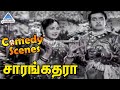 Sarangadhara Back To Back Comedy Scenes Sivaji Ganesan Karunanidhi TP Muthulakshmi