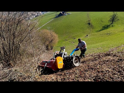 Brielmaier mit Mulcher im Steilhang 🇨🇭⛰️
