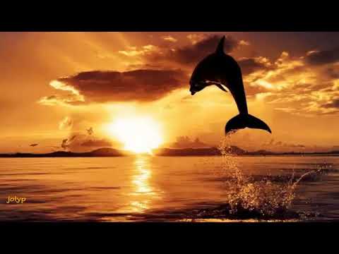 Tony Martin & Dario Mollo -  Wind Of Change