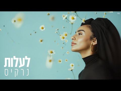 נרקיס - לעלות