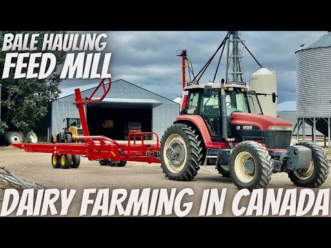 Hauling Bales and Feed Mill Work
