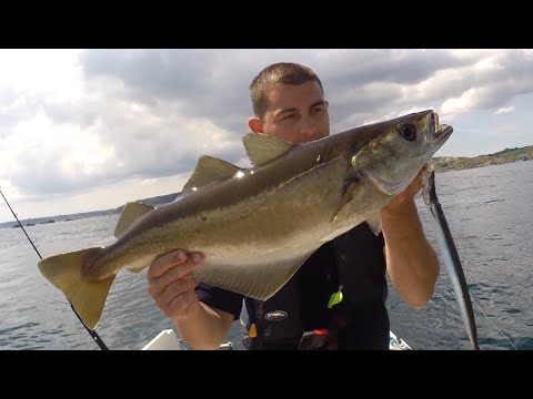 Awesome Pollack Fishing trip GOES WRONG!!! | The Fish Locker