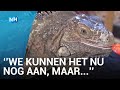 Reptielen massaal gedumpt bij opvang door hoge energieprijzen