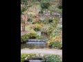 Tim O'Brien Holy Well