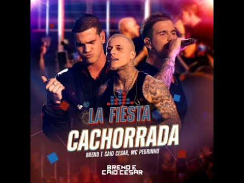 "CACHORRADA" - MC PEDRINHO, BRENO E CAIO CESAR (MUSICA NOVA)