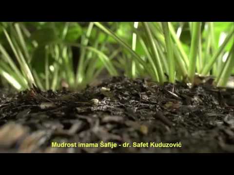 Mudrost imama Šafije - dr. Safet Kuduzović