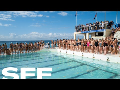 The Pool | Trailer - SFF 24