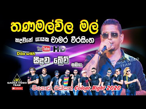 Thanamalwila Mal Pipunath (තණමල්විල මල්) | Chamara Weerasinghe | Brave -Meegoda 2020