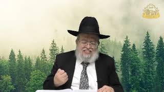 דף היומי בחצי שעה – מסכת זבחים דף צ’א