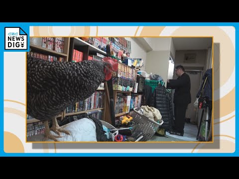 この6分間が、すべてを教えてくれた / CBCテレビ「にわとりおじさん〜ともに最後まで〜」