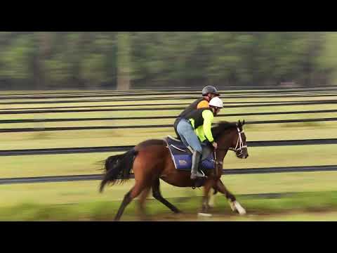 Admire Mars/Bring A Ring